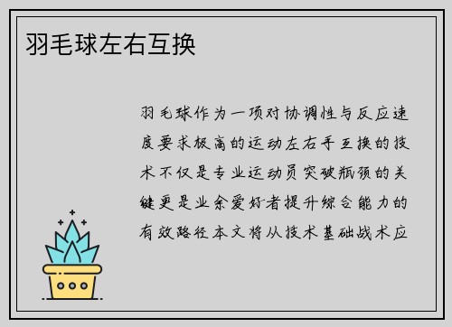 羽毛球左右互换